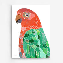 Load image into Gallery viewer, King Parrot Bird Art Print