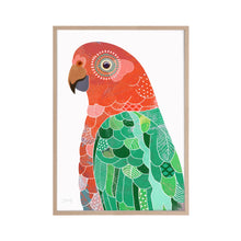 Load image into Gallery viewer, King Parrot Bird Art Print