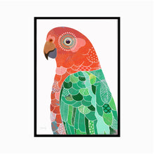 Load image into Gallery viewer, King Parrot Bird Art Print