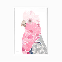 Load image into Gallery viewer, Galah Bird Art Print