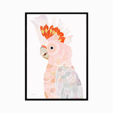 Load image into Gallery viewer, Major Mitchell II Cockatoo Art Print