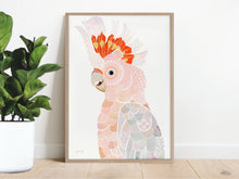 Load image into Gallery viewer, Major Mitchell II Cockatoo Art Print