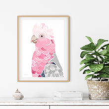 Load image into Gallery viewer, Galah Bird Art Print