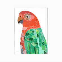 Load image into Gallery viewer, King Parrot Bird Art Print