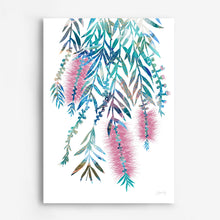 Load image into Gallery viewer, Bottlebrush Flower Art Print