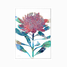 Load image into Gallery viewer, Waratah Flower Art Print