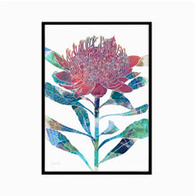 Load image into Gallery viewer, Waratah Flower Art Print