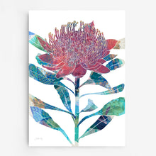 Load image into Gallery viewer, Waratah Flower Art Print