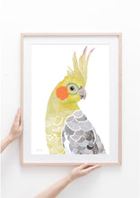 Load image into Gallery viewer, Cockatiel Bird Art Print