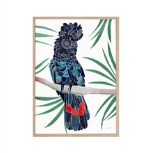 Load image into Gallery viewer, Red tailed Cockatoo Art Print