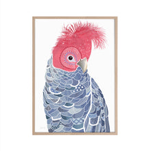 Load image into Gallery viewer, Gang Gang Cockatoo Art Print