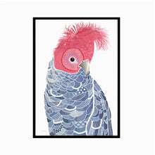 Load image into Gallery viewer, Gang Gang Cockatoo Art Print