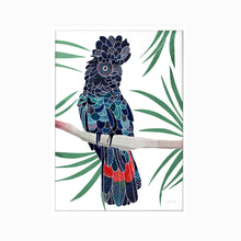 Load image into Gallery viewer, Red tailed Cockatoo Art Print