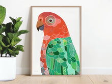 Load image into Gallery viewer, King Parrot Bird Art Print
