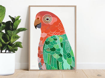 King Parrot Bird Art Print