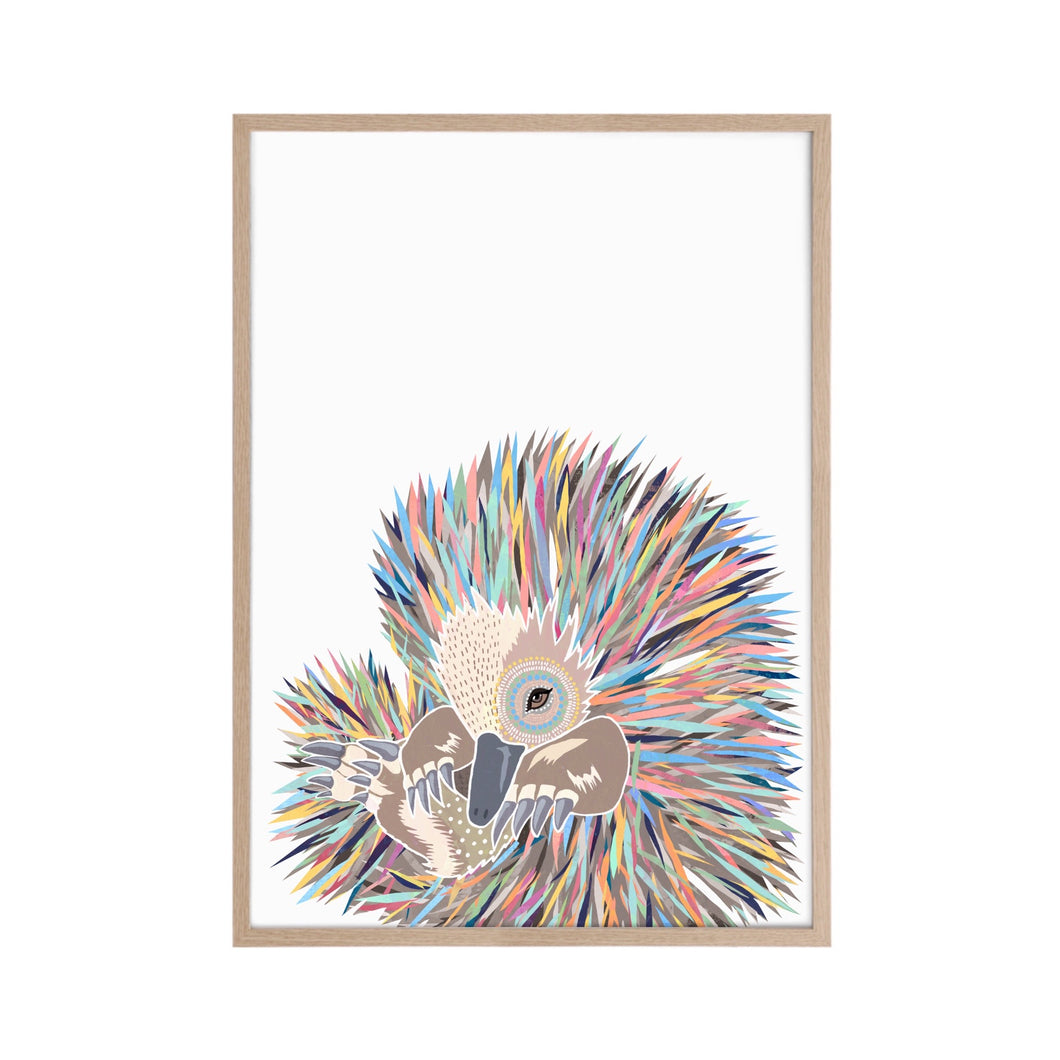Echidna Art Print