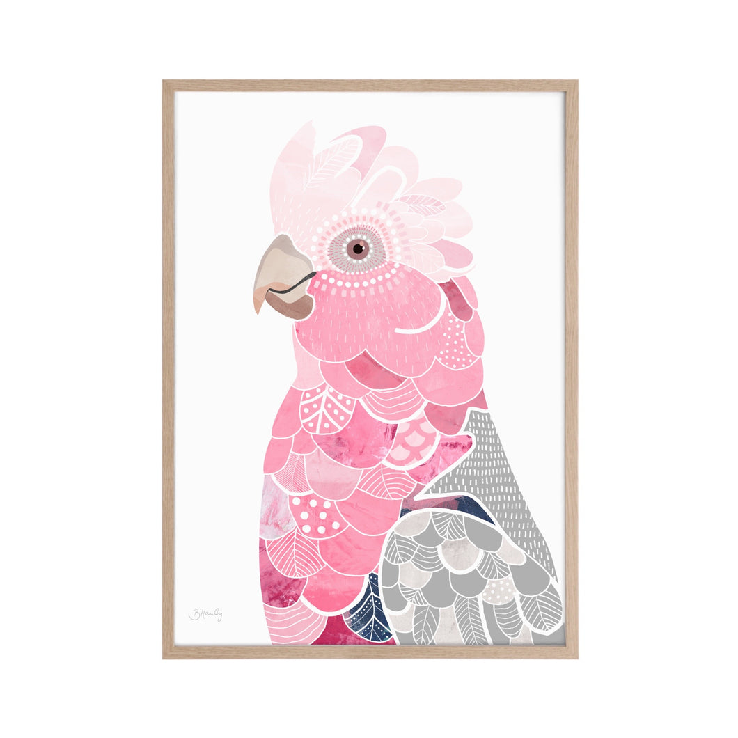 Galah Bird Art Print