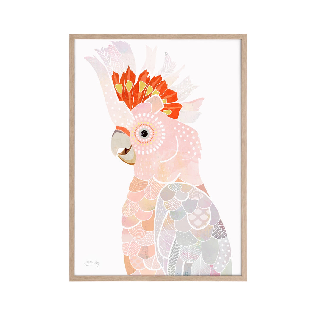 Major Mitchell II Cockatoo Art Print