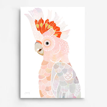 Major Mitchell II Cockatoo Art Print