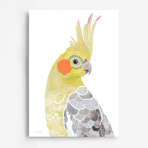 Cockatiel Bird Art Print