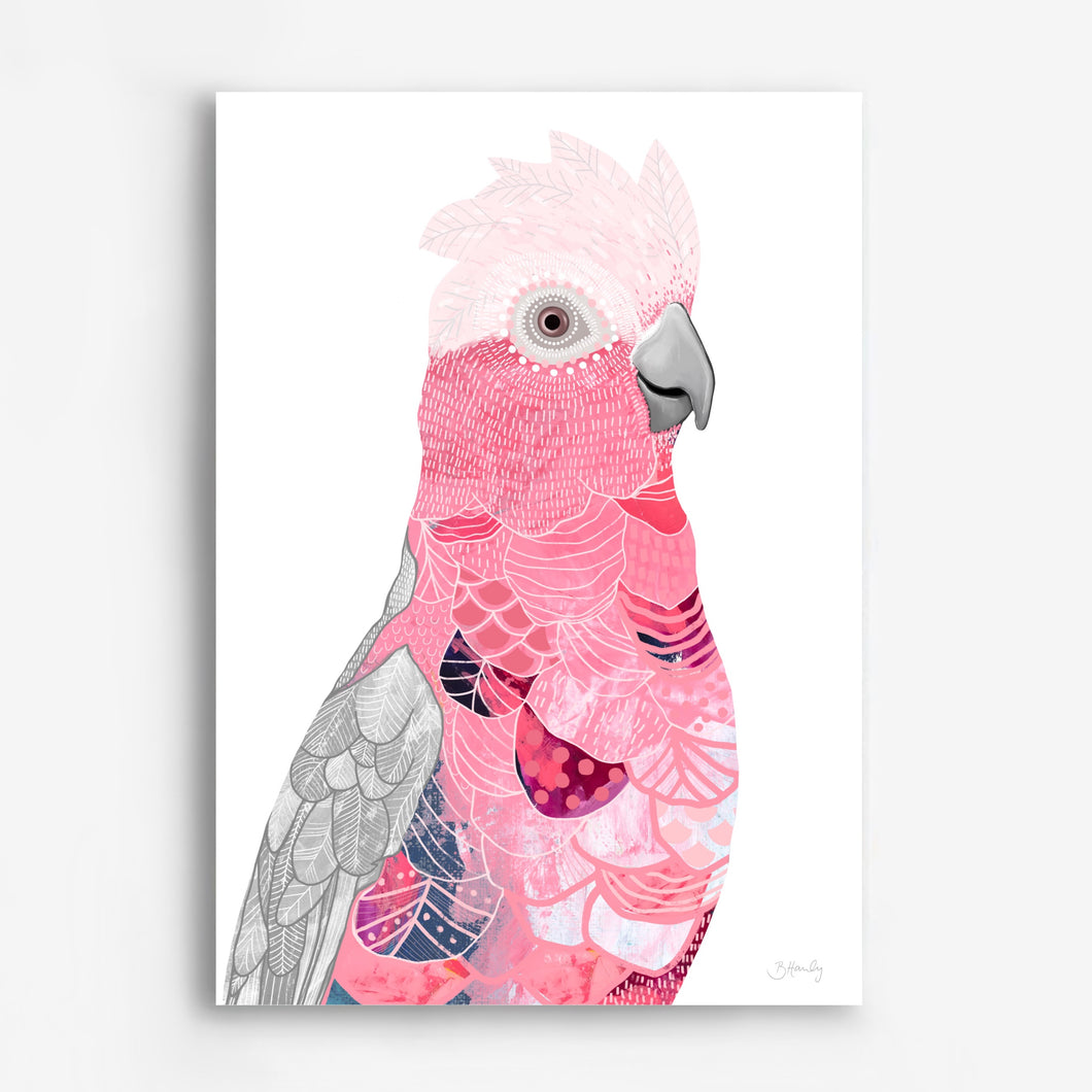 Galah Bird Art Print