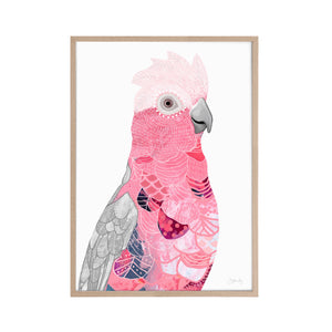 Australian galah bird print in timber frame
