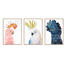 Load image into Gallery viewer, Australian native bird art print set
