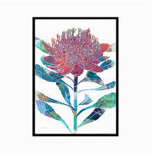Load image into Gallery viewer, Waratah Flower Art Print
