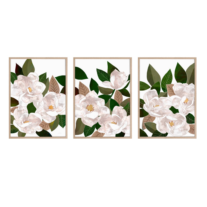 Set of 3 magnolia art prints in timber frames