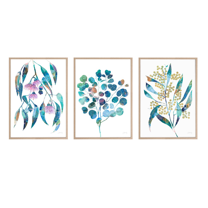 Australian Native Flower Art Print Set
