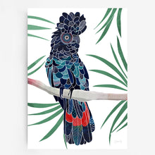 Load image into Gallery viewer, Red tailed Cockatoo Art Print
