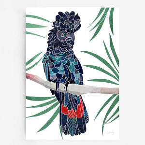Red tailed Cockatoo Art Print
