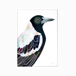 Magpie Bird Art Print