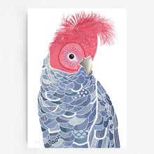 Load image into Gallery viewer, Gang Gang Cockatoo Art Print
