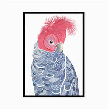 Load image into Gallery viewer, Gang Gang Cockatoo Art Print
