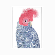 Load image into Gallery viewer, Gang Gang Cockatoo Art Print
